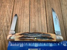 Great Eastern Cutlery Northfield 62 Half Congress Sambar Stag BD63 Great Eastern Cutlery Northfield 62 Half Congress Sambar Stag BD63