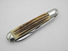 Queen Cutlery Co. #29 English Jack in Winterbottom Bone: 4 1/2” closed; 1961 - 1971, etched blade, Queen Cutlery Co. #29 English Jack in Winterbottom Bone: 4 1/2” closed; 1961 - 1971, etched blade,