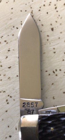 VINTAGE BONE WINCHESTER USA 1987 #2857 “SERPENTINE TEARDROP” KNIFE/NOS/ MINT 2 THE BONE VINTAGE BONE WINCHESTER USA 1987 #2857 “SERPENTINE TEARDROP” KNIFE/NOS/ MINT 2 THE BONE