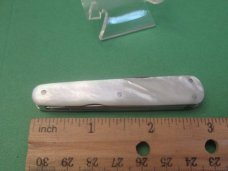 Ibberson Sleeveboard Lobster Pearl