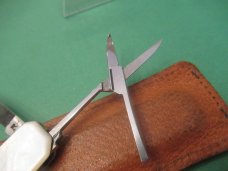 Hartkopf & Co  Pearl Lobster 