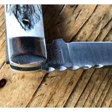 A Wright & Son Small Lambsfoot Pocket Knife w/Stag Scales, Filed Back Spring and Lambsfoot Blade. A Wright & Son Small Lambsfoot Pocket Knife w/Stag Scales, Filed Back Spring and Lambsfoot Blade.