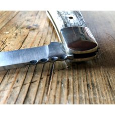A Wright & Son Farmer's Barlow w/ Stag Scales and Wharncliffe Blade A Wright & Son Farmer's Barlow w/ Stag Scales and Wharncliffe Blade