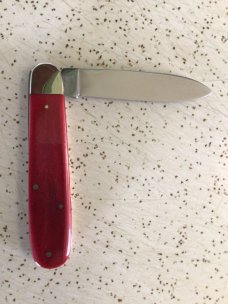 VINTAGE BONE FIGHT’N ROOSTER FRANK BUSTER CELEBRATED CUTLERY SOLINGEN GERMANY NKCA YOUTH KNIFE VINTAGE BONE FIGHT’N ROOSTER FRANK BUSTER CELEBRATED CUTLERY SOLINGEN GERMANY NKCA YOUTH KNIFE