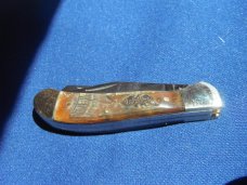 Steel Warrior Folding Pocket Knife W/ Beautiful Rams horn scales. Never Used Condition. 