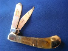 Steel Warrior Folding Pocket Knife W/ Beautiful Rams horn scales. Never Used Condition. 
