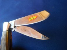Steel Warrior Folding Pocket Knife W/ Beautiful Rams horn scales. Never Used Condition. 