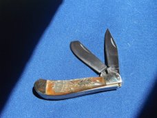 Steel Warrior Folding Pocket Knife W/ Beautiful Rams horn scales. Never Used Condition. 