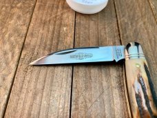 Great Eastern Cutlery Northfield Easy Pocket Congress 62 Sambar Stag BD76 Great Eastern Cutlery Northfield Easy Pocket Congress 62 Sambar Stag BD76