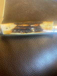 Noethwoods Gladstone Michigan Super Fat & Gnarly Stag Handles With Single Blade & Slanted Bolsters