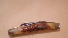 Case 54052 1965 - 69 Stag Congress Knife Case 54052 1965 - 69 Stag Congress Knife