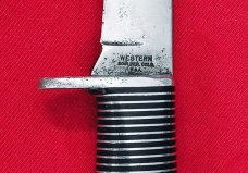 Western F66 Black Beauty Western F66 Black Beauty