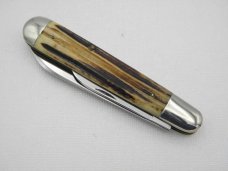 Queen Cutlery Co. #29 English Jack in Winterbottom Bone: 4 1/2” closed; early 1950s Queen Cutlery Co. #29 English Jack in Winterbottom Bone: 4 1/2” closed; early 1950s