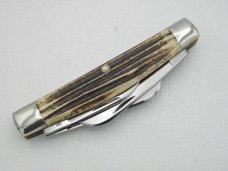 Queen Cutlery Co. #32 Congress in Winterbottom Bone: 4” closed; early 1951 - 1954 Queen Cutlery Co. #32 Congress in Winterbottom Bone: 4” closed; early 1951 - 1954