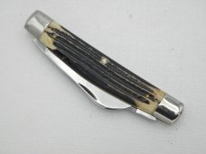 Queen Cutlery Co. #31 Half Congress in Winterbottom Bone: 4” closed; 1958 - 1960