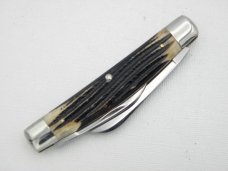 Queen Cutlery Co. #31 Half Congress in Winterbottom Bone: 4” closed; 1958 - 1960