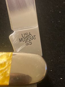 2016 Case XX USA Muskrat SS Antique Gold & White Peal Corelon With Two Stainless Steel Blades New 2016 Case XX USA Muskrat SS Antique Gold & White Peal Corelon With Two Stainless Steel Blades New