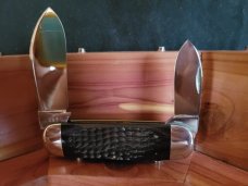 CASE #6250 1974 ELEPHANT TOE NAIL WITH ETCH NEW CONDITION CASE #6250 1974 ELEPHANT TOE NAIL WITH ETCH NEW CONDITION