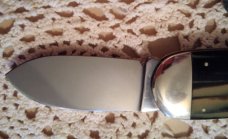 Bulldog Bluegill Sunfish Knife ~~  $90.00  ~~