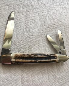 HUGE SLEEVEBOARD 1 DOG WHITTLER ETCHED