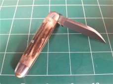 Northwoods Bear Lake Stag Knife knives