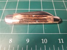 Northwoods Bear Lake Stag Knife knives