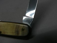 Vintage J. Moede, Solingen Blonde Horn Scaled Pen Knife 95mm Vintage J. Moede, Solingen Blonde Horn Scaled Pen Knife 95mm