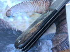 Lion Steel Dom Barlow Sheepfoot Jack Rams Horn M390 Steel CK0115 NEW Lion Steel Dom Barlow Sheepfoot Jack Rams Horn M390 Steel CK0115 NEW