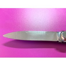 German Style Springer. Similar to Hubertus 8" German Style Springer. Similar to Hubertus 8"