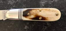 Great Eastern Cutlery Tidioute #252117 Little Jack, Pioneer Bone Handle, New (GEC 25) Great Eastern Cutlery Tidioute #252117 Little Jack, Pioneer Bone Handle, New (GEC 25)