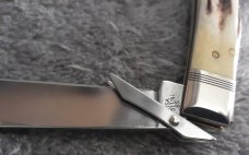 Case XX Stag Cheetah 5111 1/2 Excellent!