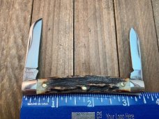 Queen City Cutlery Half Congress Drop Dead Gorgeous Stag! (BDSM36)