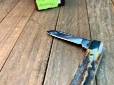 Queen City Cutlery Half Congress Drop Dead Gorgeous Stag! (BDSM36)