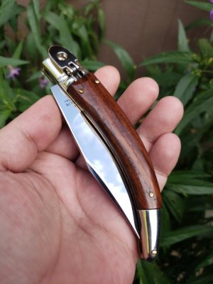A.G.A. Campolin Diana.