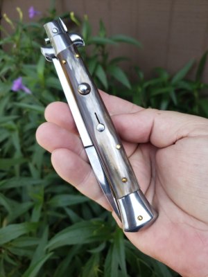 11" Frank B horn.