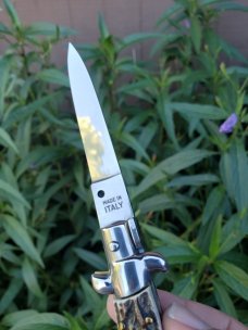 7.5" SKM stag. 7.5" SKM stag.