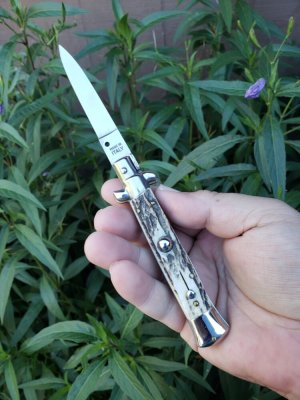 7.5" SKM stag.