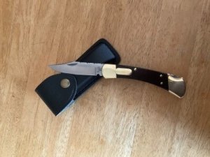 NEW - "Buck 110 Folding Hunter" Assisted + Belt Sheath