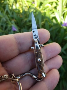 2.7" picklock keychain. 2.7" picklock keychain.
