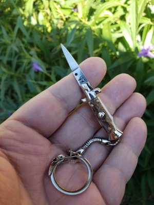 2.7" picklock keychain.