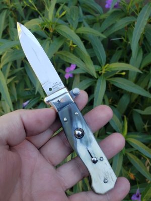 A.G.A. Campolin Piccolo