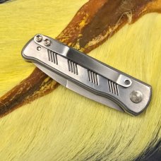 Unique Fun Scale Release Auto