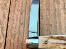 Hen and Rooster Slim Congress Stag Bertram Cutlery Solingen Germany Made Hen and Rooster Slim Congress Stag Bertram Cutlery Solingen Germany Made