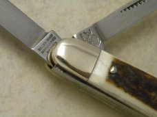 Bulldog Brand Solingen Germany Pit Bulls Trademark Stag Small Congress Knife in Box 