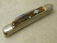 Bulldog Brand Solingen Germany Pit Bulls Trademark Stag Small Congress Knife in Box 