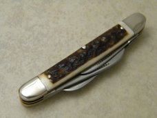 Bulldog Brand Solingen Germany Pit Bulls Trademark Stag Small Congress Knife in Box 