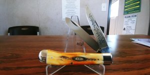 1977 CASE 5254 STAG BLUE SCROLL TRAPPER  AAAA++++