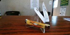 1977 CASE 5254 STAG BLUE SCROLL TRAPPER AAAA++++ 1977 CASE 5254 STAG BLUE SCROLL TRAPPER AAAA++++