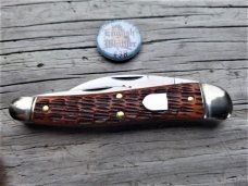 Great Eastern Northfield #38 Burnt Orange Bone English Whittler Knife 380321 GEC