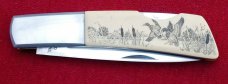 Gerber Silver Knight -Scrimshaw Gerber Silver Knight -Scrimshaw